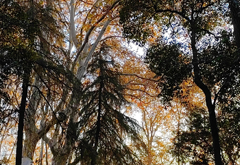 钟山风景名胜区第 187 张图片