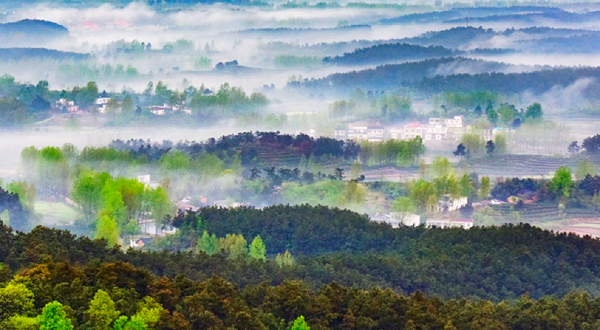 大苏山国家森林公园