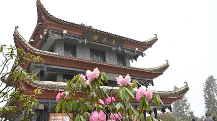 百里杜鹃金坡景区-观景平台第 1 张图片