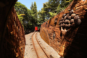 Driving Creek小火车