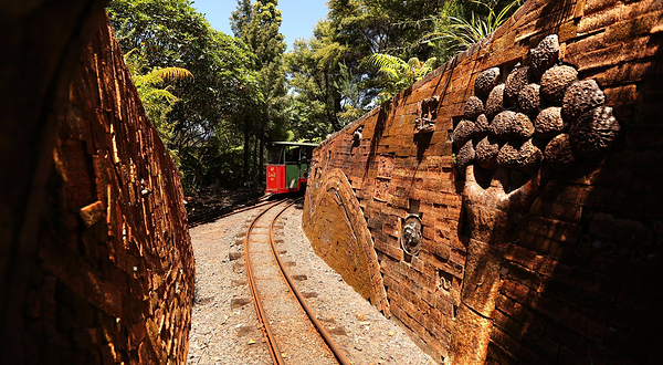 Driving Creek小火车