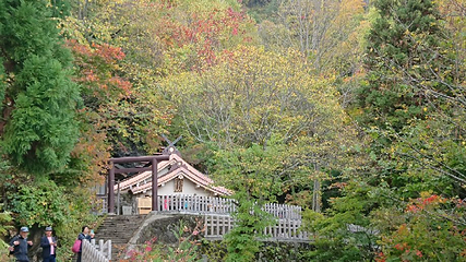 户隐神社第 21 张图片