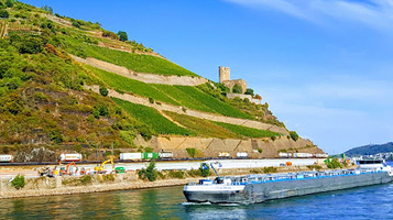 Niederwald in Rudesheim