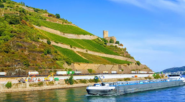 Niederwald in Rudesheim