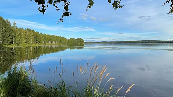 Kolpeneenpuisto