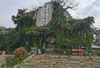 云南野生动物园第 56 张图片