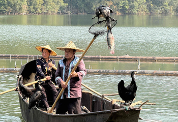 普洱茶马古道遗址公园第 93 张图片