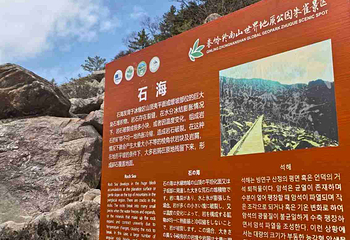 朱雀国家森林公园第 40 张图片