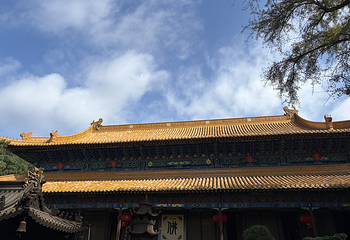 普陀山风景区第 81 张图片