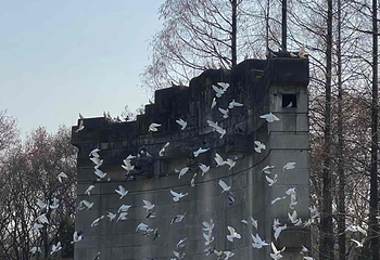 钟山风景名胜区第 198 张图片