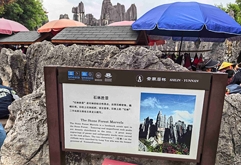 石林风景区第 174 张图片
