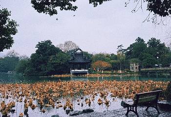西湖风景名胜区第 333 张图片