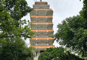 鹅岭公园第 110 张图片