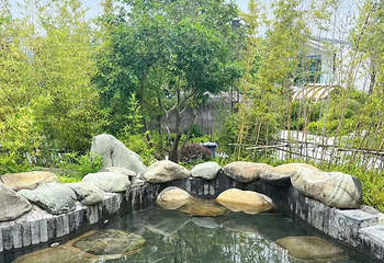 陆川温泉九龙山庄第 23 张图片