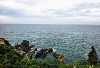 那香海鸡鸣岛第 41 张图片