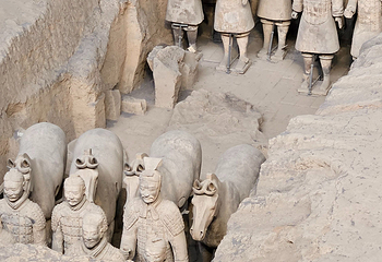 秦始皇帝陵博物院(兵马俑)第 498 张图片