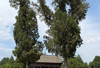 万荣县飞云楼景区第 27 张图片