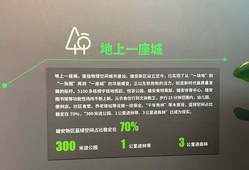 雄安印象第 26 张图片