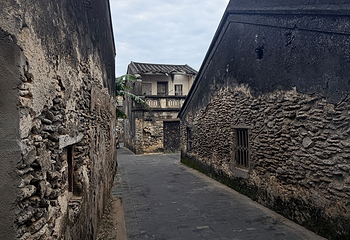 西岛第 316 张图片