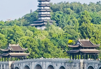 重庆园博园第 89 张图片