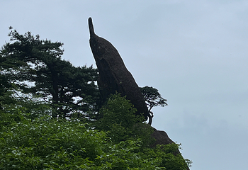 黄山风景区第 495 张图片