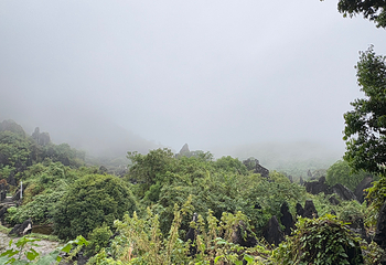 玉石林风景区第 40 张图片