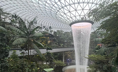 星耀樟宜第 180 张图片