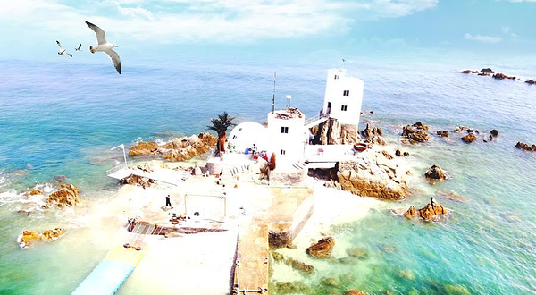 亲海游喂海鸥旅游基地