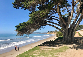 Butterfly Beach第 2 张图片