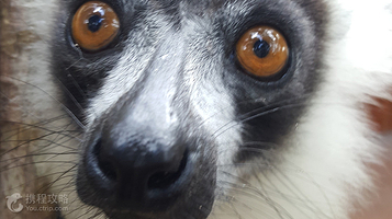 安达西贝-曼塔迪亚国家公园