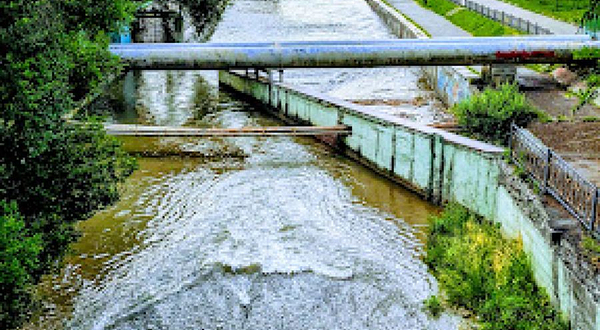The Abundance Garden Bench