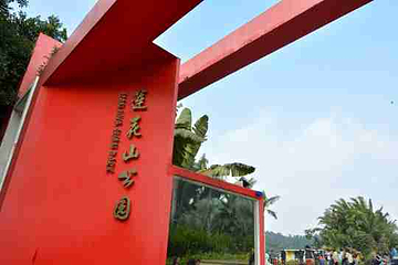 莲花山公园第 17 张图片