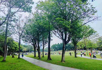 莲花山公园第 19 张图片