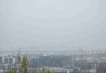 阅江楼第 44 张图片