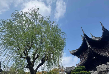 豫园第 202 张图片