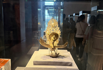 云南省博物馆第 40 张图片