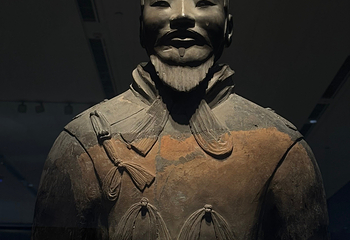 秦始皇帝陵博物院(兵马俑)第 350 张图片