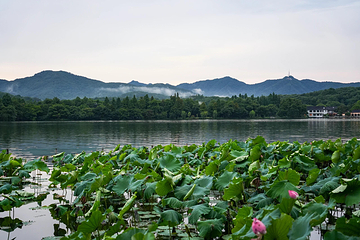 西湖风景名胜区第 103 张图片
