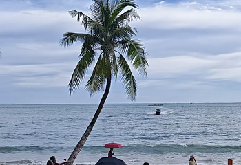 天涯海角第 311 张图片