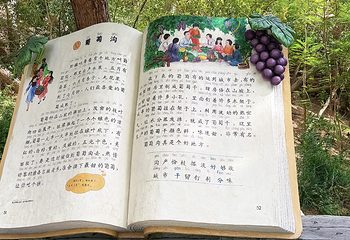 葡萄沟第 55 张图片