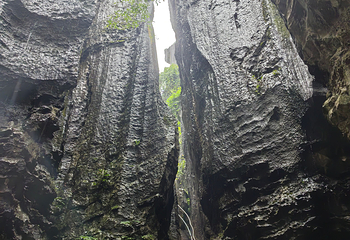 石林风景区第 294 张图片