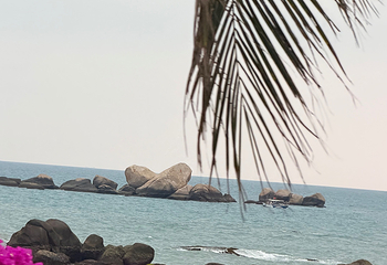 天涯海角第 309 张图片