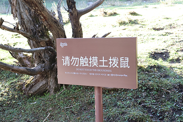 祁连山冰沟河景区第 120 张图片