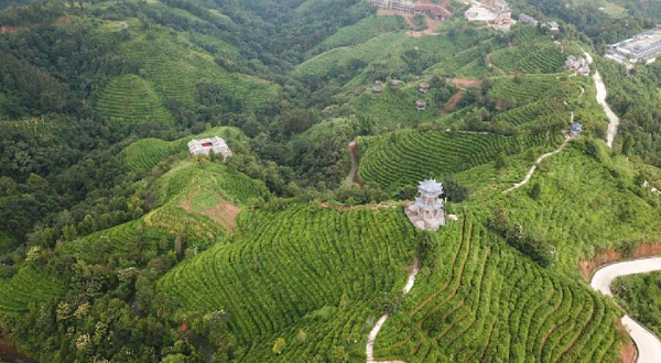 凌云茶山汽车营地