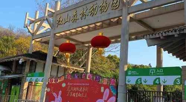 红山森林动物园-亚洲灵长区