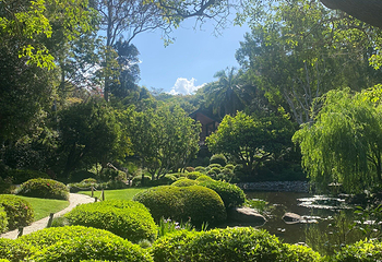 布里斯班植物园 - 库萨山第 3 张图片