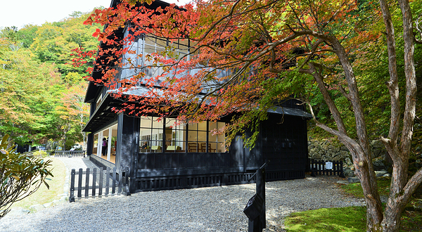 British Embassy Villa Memorial Park