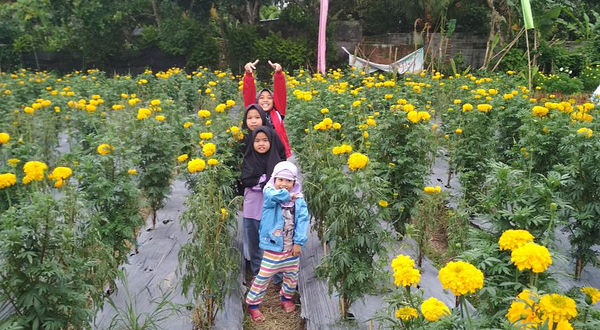 Narmada Botanic Garden