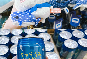 冲绳美丽海水族馆第 28 张图片
