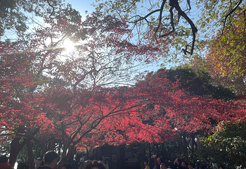 西湖风景名胜区第 285 张图片